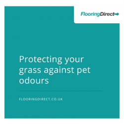 Protecting grass against pet odours