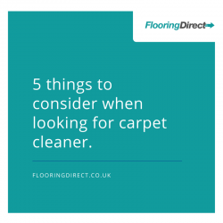 Consider choosing the right carpet cleaner.