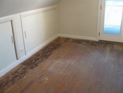 Looking at installing your vinyl flooring? 