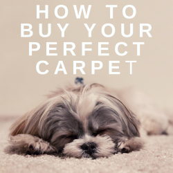 How to buy your perfect carpet with Flooring Direct.