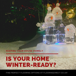 A warm carpet will help insulate your house 