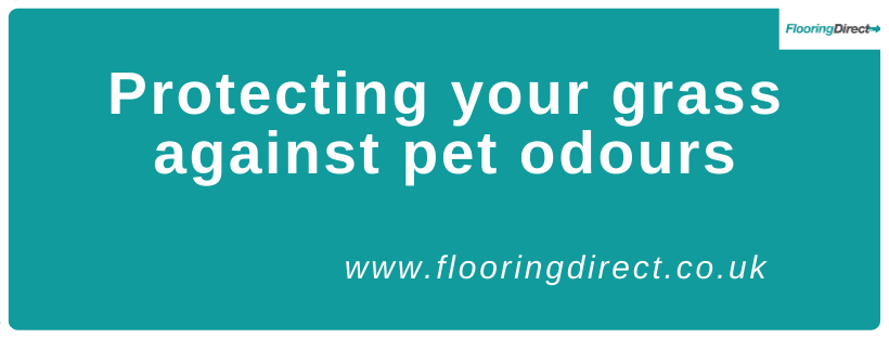 You can protect your grass against pet odours