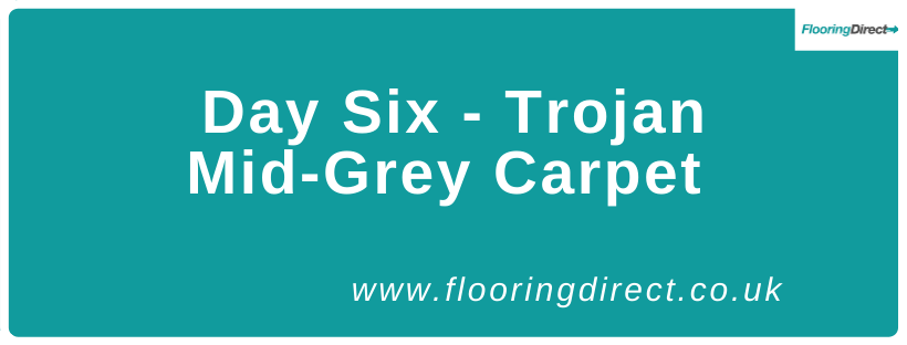 Day Six - Trojan Mid-Grey Carpet