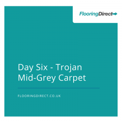 Trojan Mid Grey Carpet