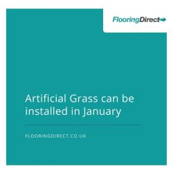 artificial grass in january