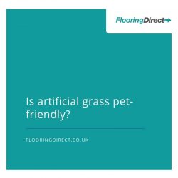Pet-friendly artificial grass thumbnail