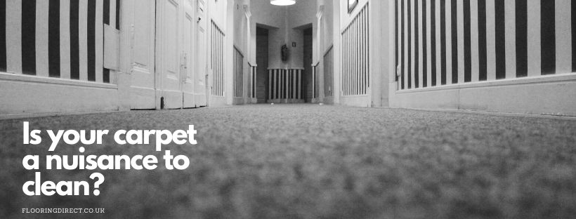 Carpet in hallway needing a clean.