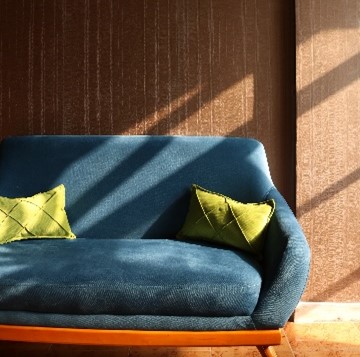 Blue sofa and carpet