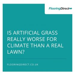 Natural Lawn vs a Fake lawn - which one really wins?