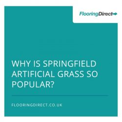 Springfield artificial grass is Flooring Direct's most popular type of grass