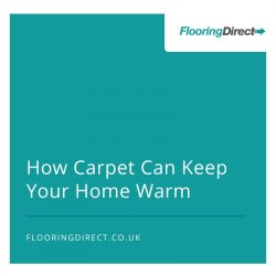 Can carpet insulate your house? Find out with Flooring Direct