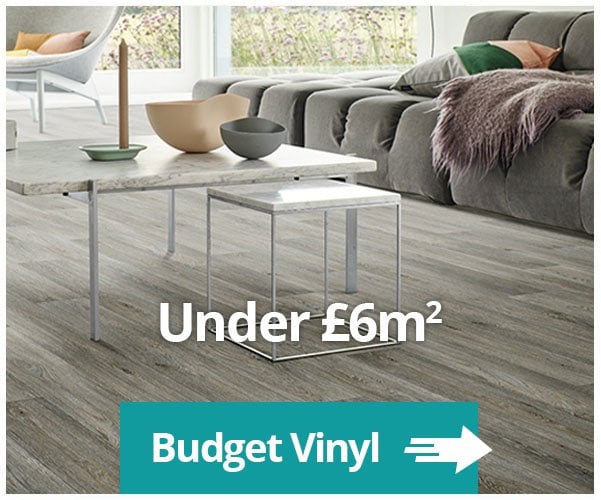 Budget Vinyl