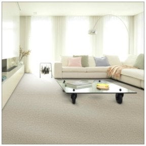 Living Room Grey Carpet