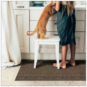 Pet-friendly carpet with a stool