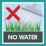 No Watering